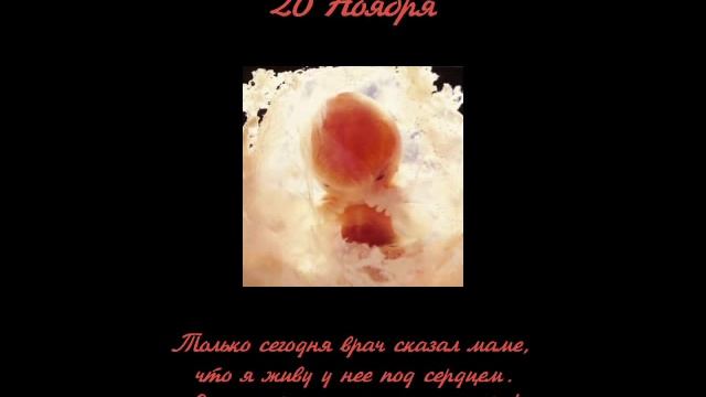 Дневник нерожденного младенца смотреть онлайн