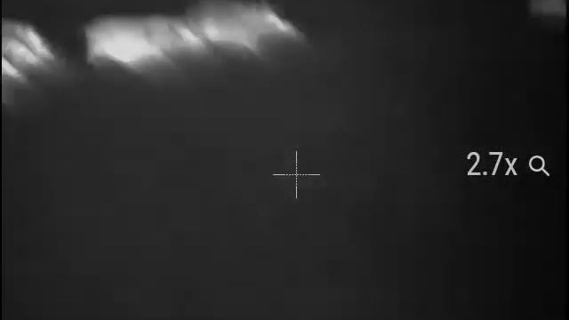 Домашние кабаны смотреть онлайн