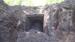 2.  Зыряновские сады Новокузнецка, спустя 20 лет.