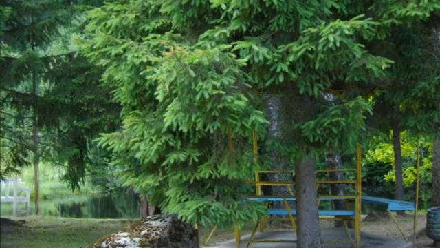 Пушкиногорский заповедник - Святогорский монастырь смотреть онлайн