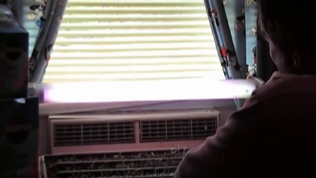 Growing Blueberries from seeds video two смотреть онлайн