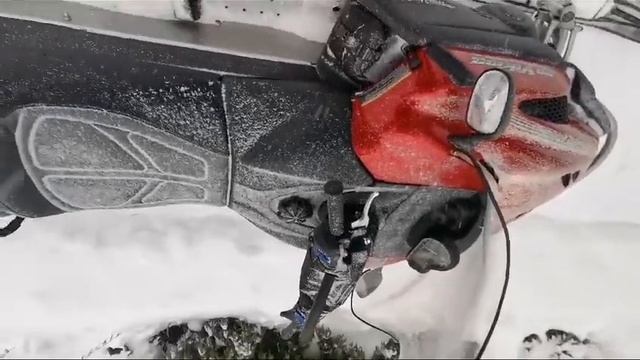 15 декабря 2023 г. смотреть онлайн