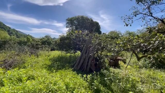 Купила дом в Грузии! Какая цена! Прогресс в ремонте. смотреть онлайн