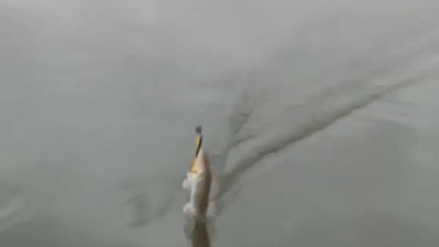 ВЕСЕННИЙ ТРОФЕЙ 2011 - Второй день (рыбалка) смотреть онлайн