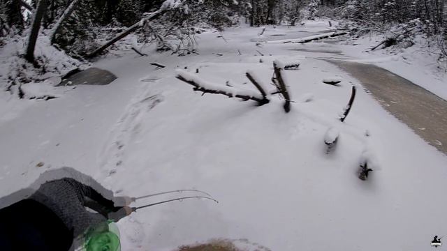 Открытие сезона зимней рыбалки 2020. ОКУНЬ НА БАЛАНСИР. смотреть онлайн