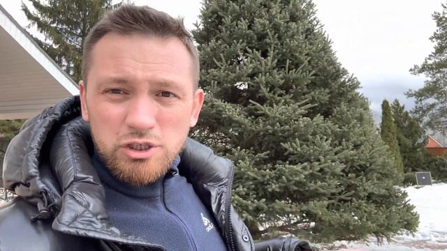 Ель голубая. Как стричь? #стрижкаели