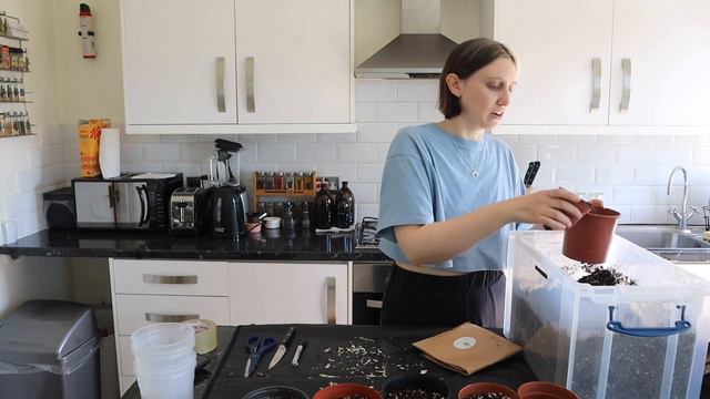 Q&A and POT CALADIUMS WITH ME смотреть онлайн