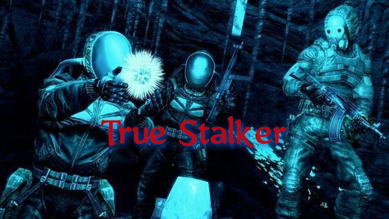 True Stalker. Полтергейст !