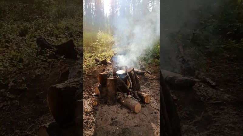 УХА Таежная печка Тайга #печка #печь #уха #дмитрийяков #survival #bushcraft #camping #outdoors #лес