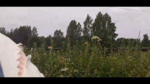 АКУЛА ИЗ ИКЕИ ЖИВЕТ МОЕЙ ЖИЗНЬЮ ОДИН ДЕНЬ