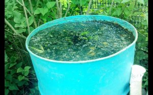 Как быстро побороть весь сорняк и траву Навсегда За 3 Секунды!