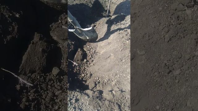 ЛОВУШКА ДЛЯ СЛЕПЦА. Ловим крота на рыболовные крючки - тройники. Проверяем ловушку. смотреть онлайн