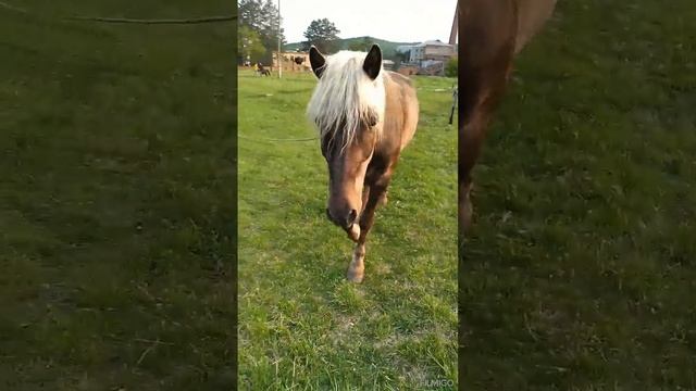 Санаторий Шмаковка. смотреть онлайн