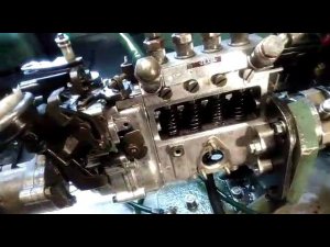 ISUZU NQR 71  ремонт ТНВД