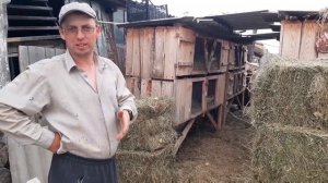 Пресую сено для кроликов.