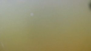 Подводный мир Инютинского озера