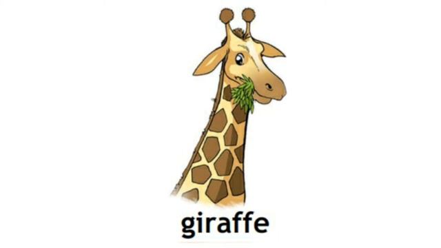 How to Pronounce Giraffe in British English