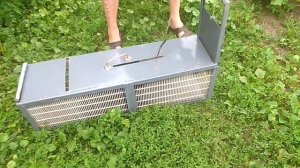 Живоловка, котоловка, живоловушка, ловушка для отлова животных
