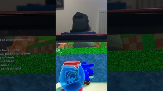 How to find sonic,shadow and blaze knight badge in sonic resistance rp смотреть онлайн