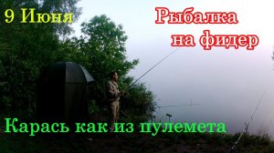 Рыбалка на фидер, карась как с пулемета #рыбалка #fishing #белгород #отдых #природа #рыба