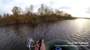 Рыбалка на Андреевском озере в Тюмени, Akkoi ловит окуней с берега и с лодки
