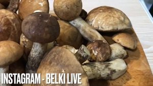 Грибной суп быстро и очень вкусно как правильно варить грибной новогодний суп  Новогодний суп грибы