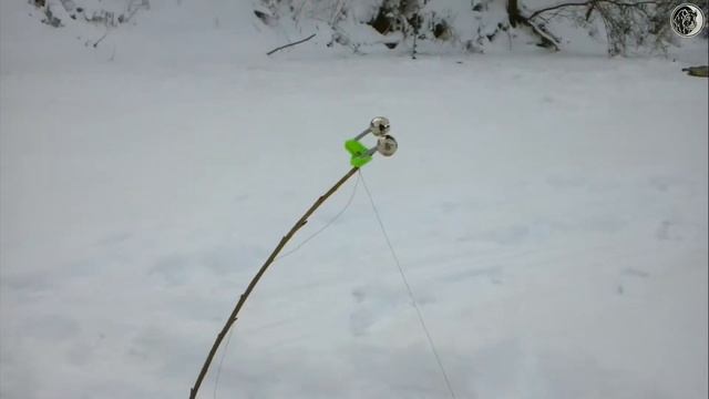 Ловим на ВЕРТОЛЁТ (Белая Акула)! смотреть онлайн