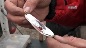 Народный проект. Астрахань. Рыбалка в марте под Астраханью