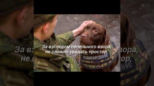 С 23 февраля.