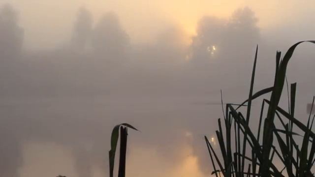 НСПЧ -- Народный Суд по Правам Человека смотреть онлайн