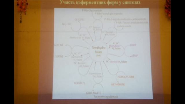 Патологічна фізіологія №2 (Анемії: дизеритропоетичні) смотреть онлайн