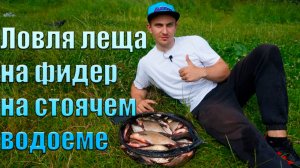 Ловля леща на фидер на стоячем водоеме