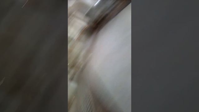 я так дрочу на архитектуру после поездки в питер и тогда пищал просто ааа смотреть онлайн