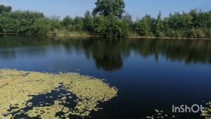 Рыбалка в Ростовской области. Кумженский водоём.Поймали сома ночью!