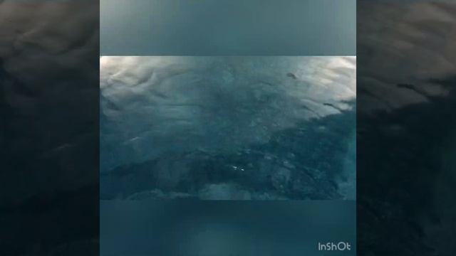 Vlog: дача,фламинго и единороги !!! смотреть онлайн