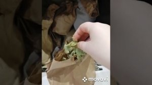 Сушка овощей для шиншилл. Как хранить сушёные травы.