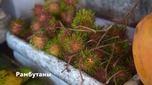 Цены на фрукты на Шри-Ланке