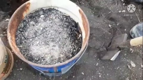 #Шелковица#чернаябаронесса.#посадка Шелковица..Посадка шелковицы.