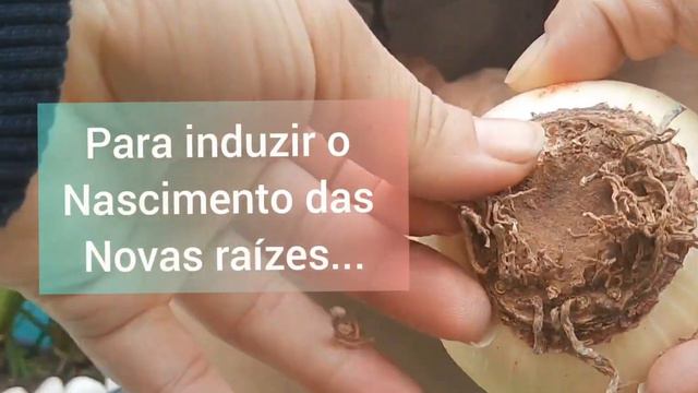 Vem acompanhar uma vídeo aula completa e ver os novos recebidos pagos a famosa caixa da felicidade. смотреть онлайн