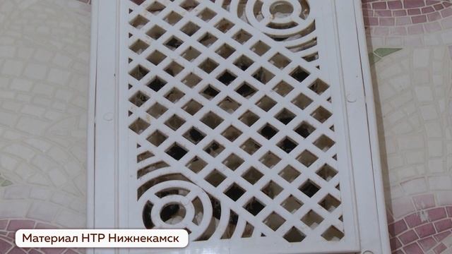 Борьба с насекомыми и грызунами в многоквартирных домах смотреть онлайн