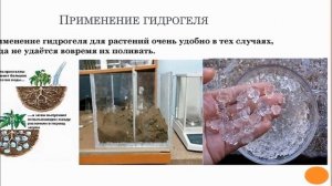 Чудо-помощник гидрогель - заменит полив, удержит в почве удобрения!