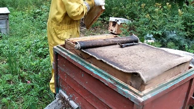 Сильные пчелосемьи на вашей пасеке.Гигиена кормления пчел.Интересно знать смотреть онлайн