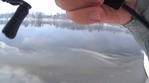 Daiwa Gekkabijin обзор