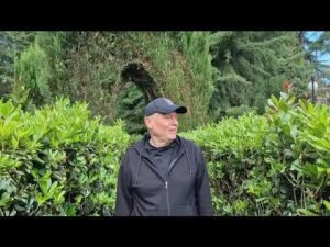 "Алая черешня"