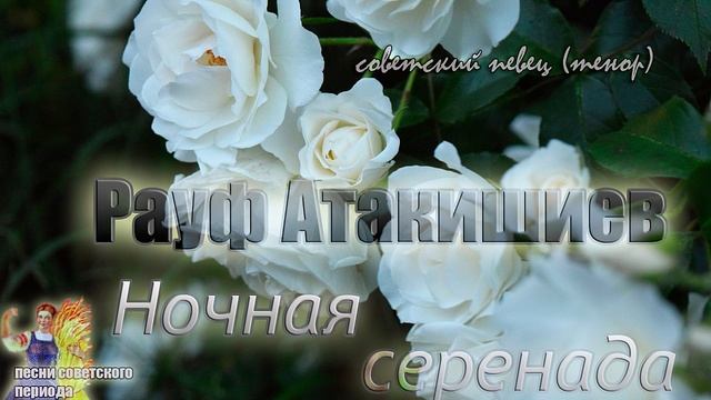 Ночная серенада - Рауф Атакишиев