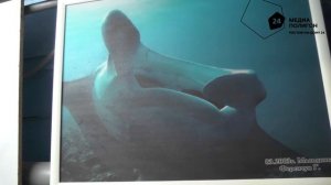 Потопляемый оптимизм. Девушка тонет в эмоциях из-за дайвинга