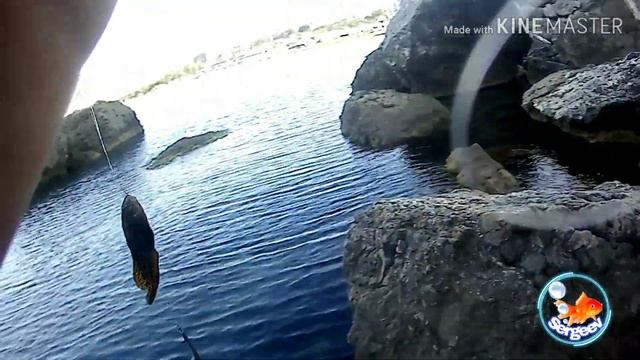 Морская рыбалка в Судаке, Крым.