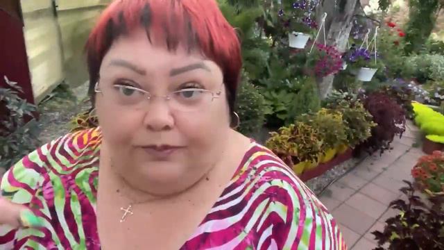 молодые и новые #гортензииметельчатые