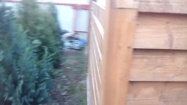 вольер для алабая за 300 $ своими руками смотреть онлайн