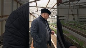 Жидкий биогумус ВермиТех-Плюс